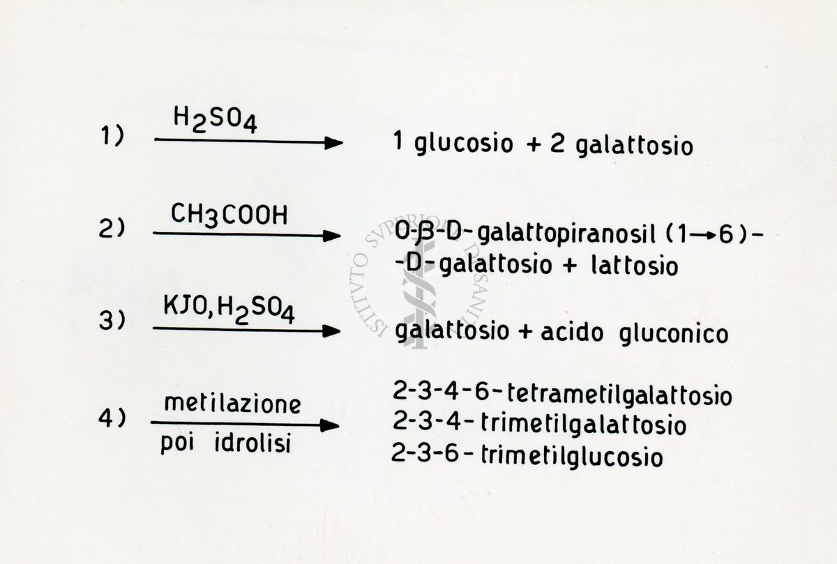 Struttura di un trisaccaride sintetizzato da Penicillium Chrysogenum