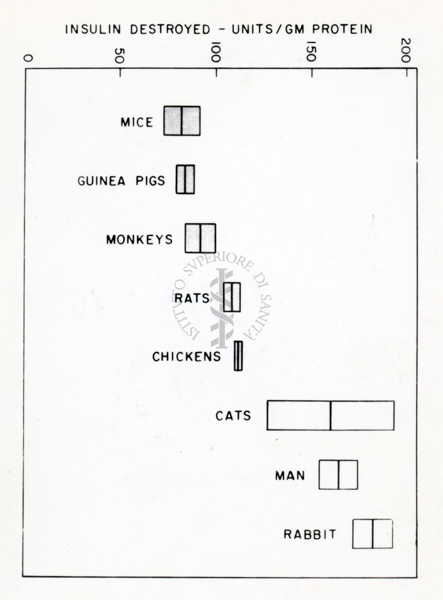 Tabella sull'insulina nell'uomo e in vari animali
