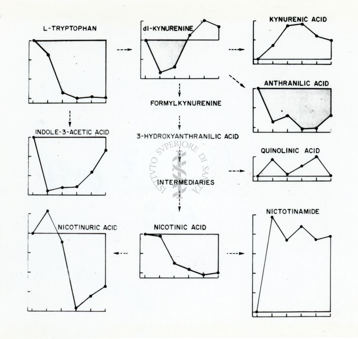 Diagramma composto da vari grafici