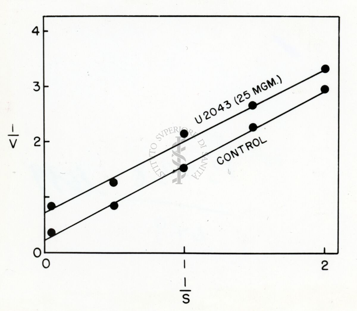 Grafico