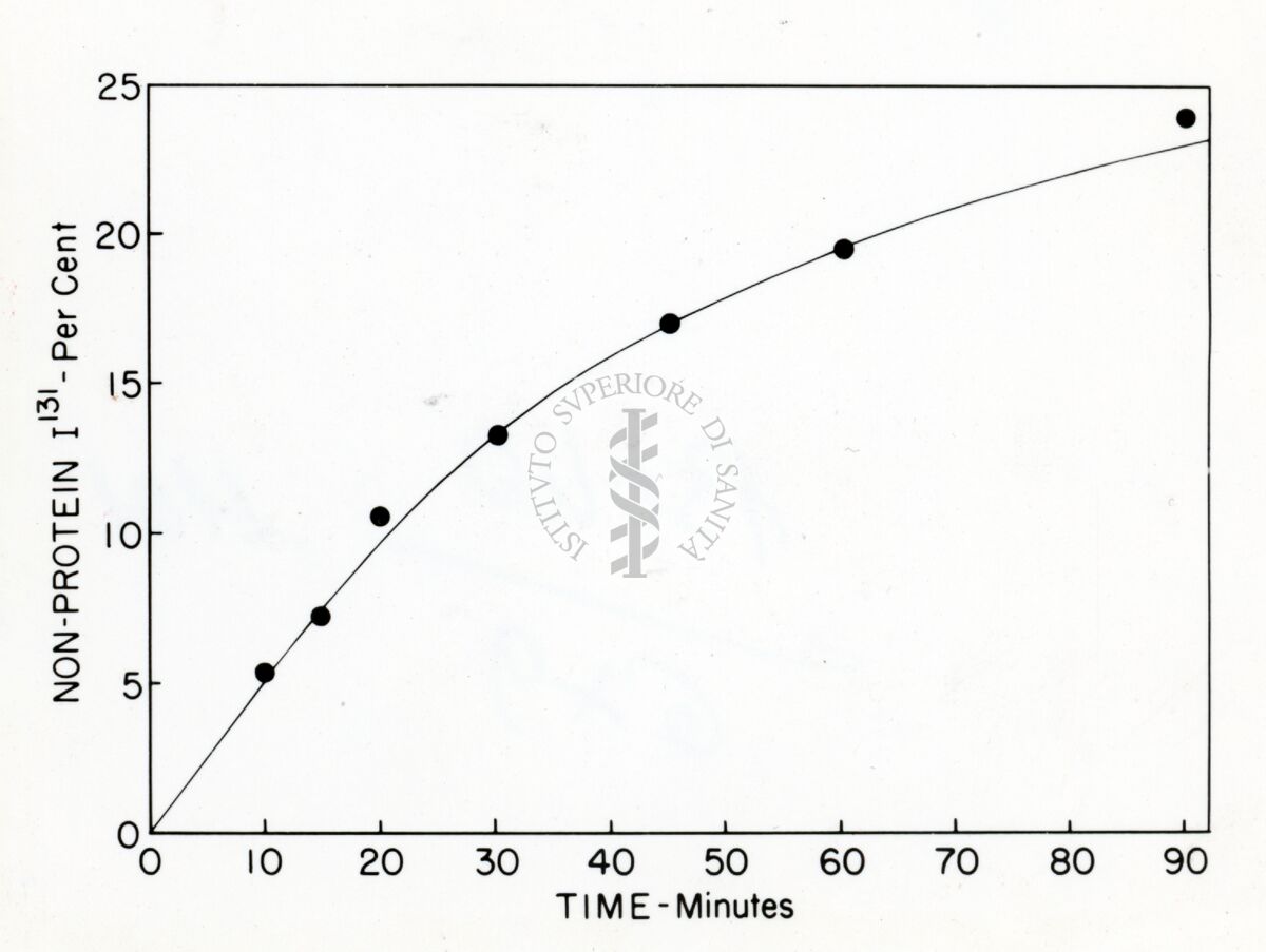 Grafico