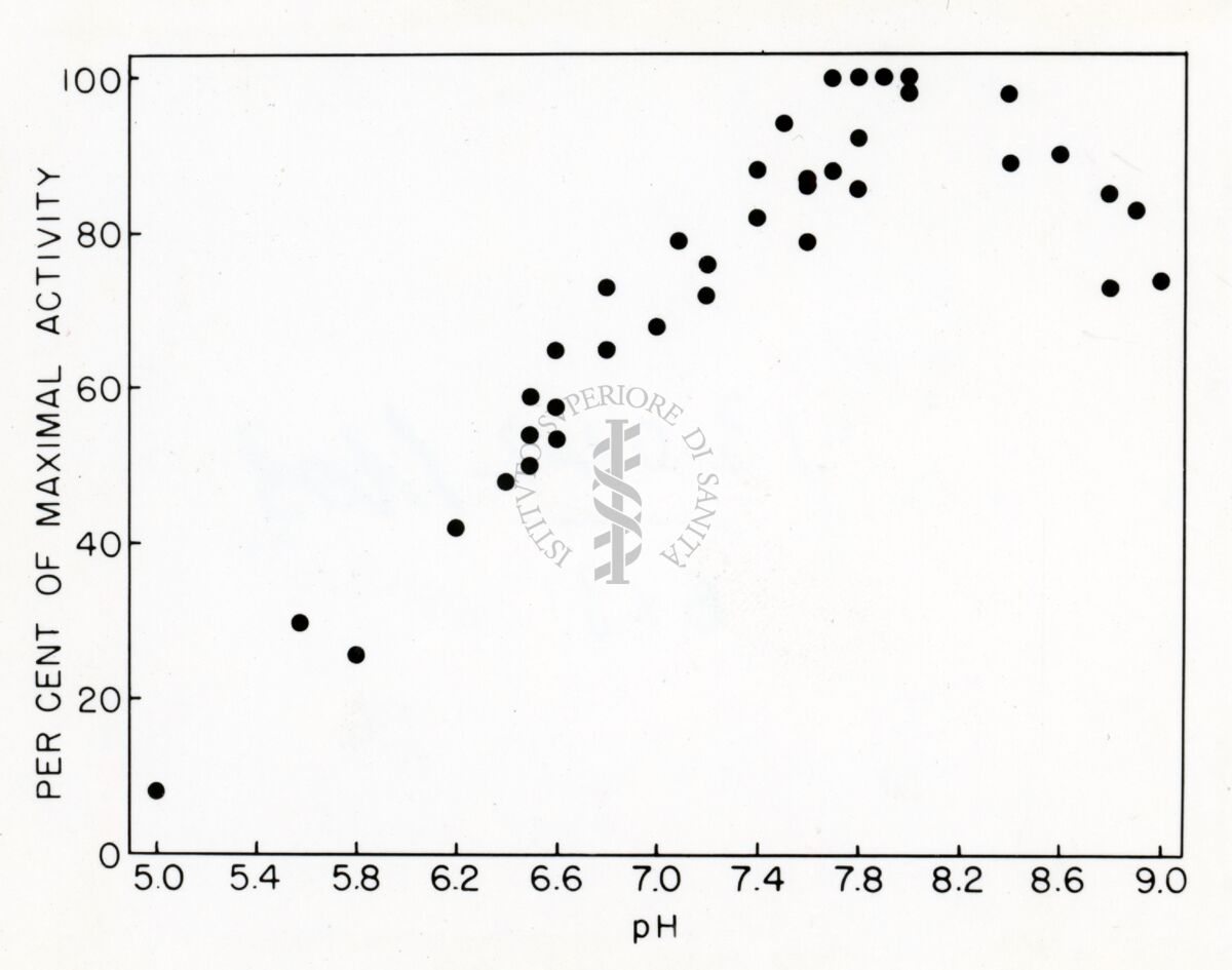 Grafico