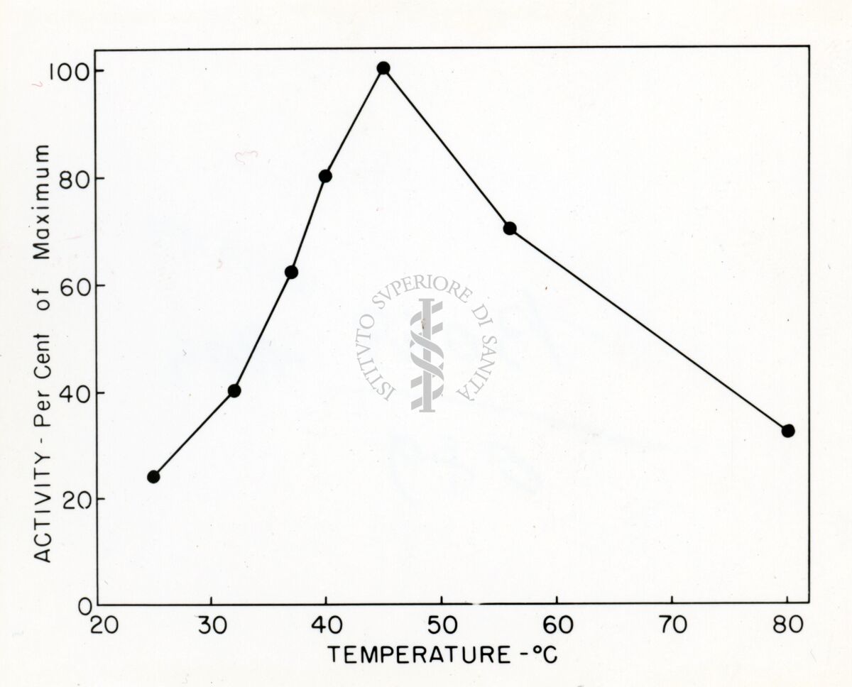 Grafico