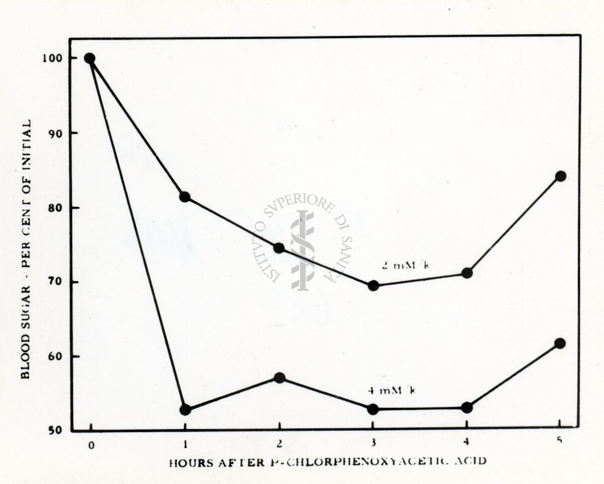 Grafico sulla presenza di zucchero nel sangue