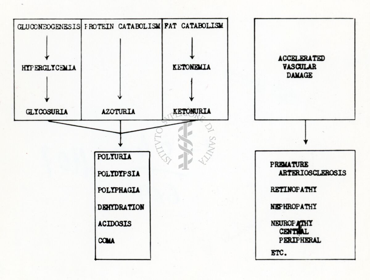 Diagrammi