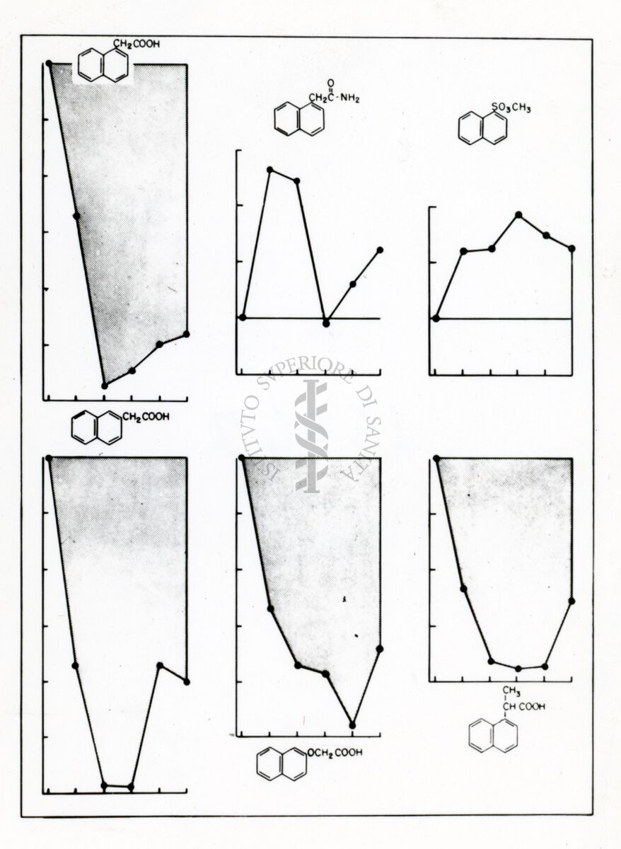 Immagine in cui sono presenti 6 grafici, ognuno dei quali presenta una formula chimica