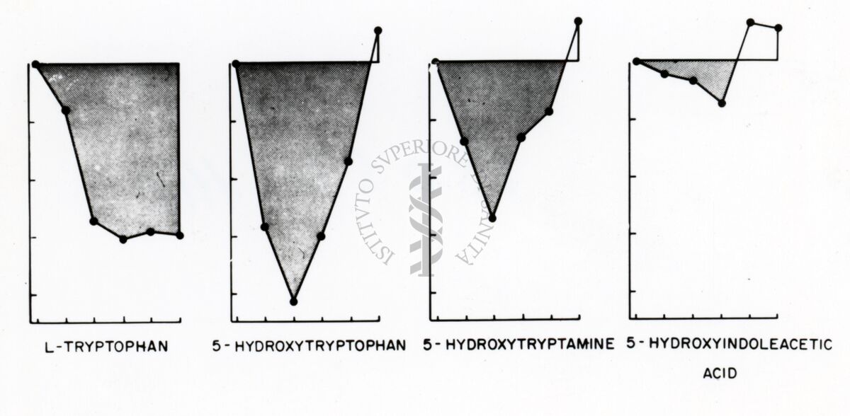 4 grafici affiancati