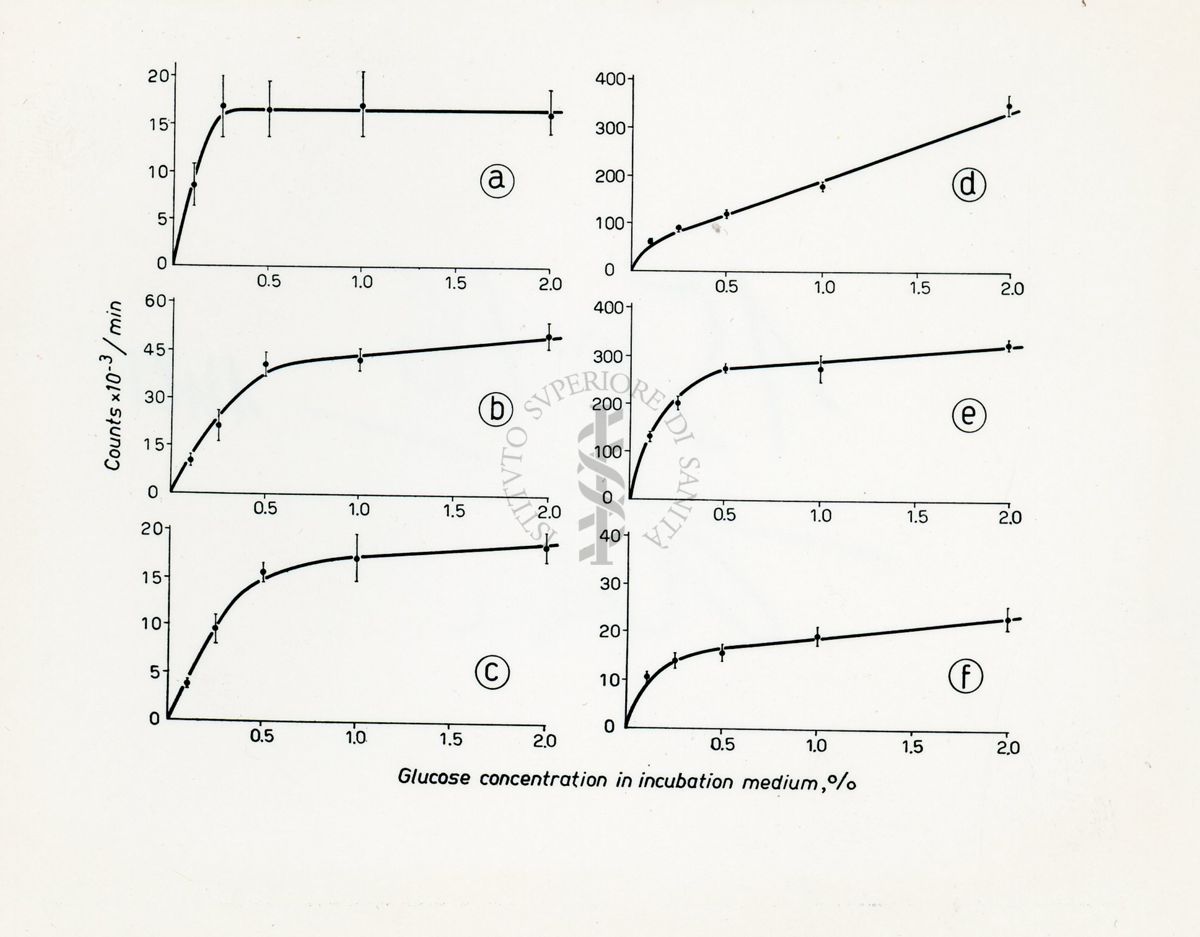 Metabolismo intermedio dei carboidrati