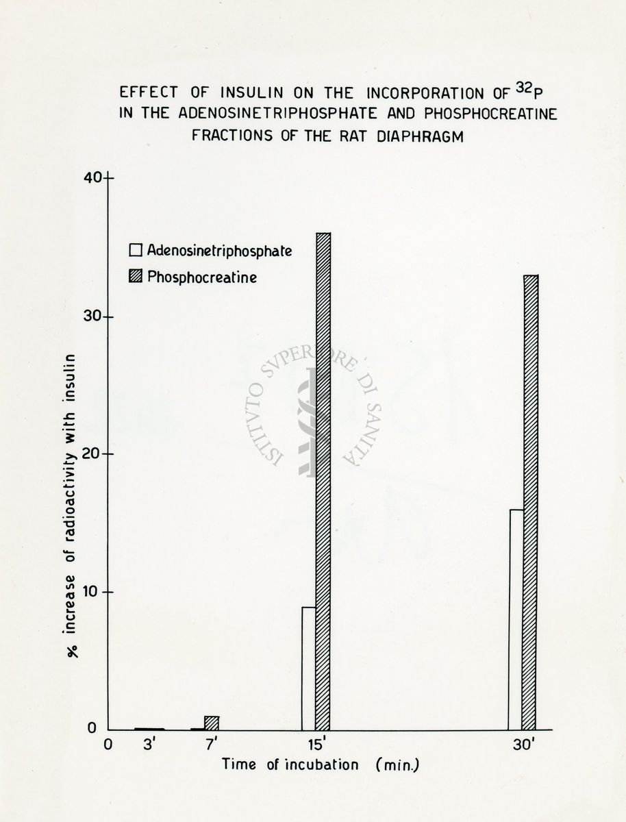 Metabolismo intermedio dei carboidrati