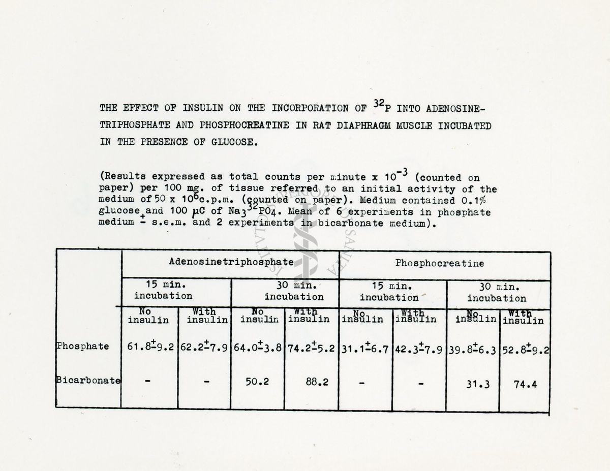 Metabolismo intermedio dei carboidrati