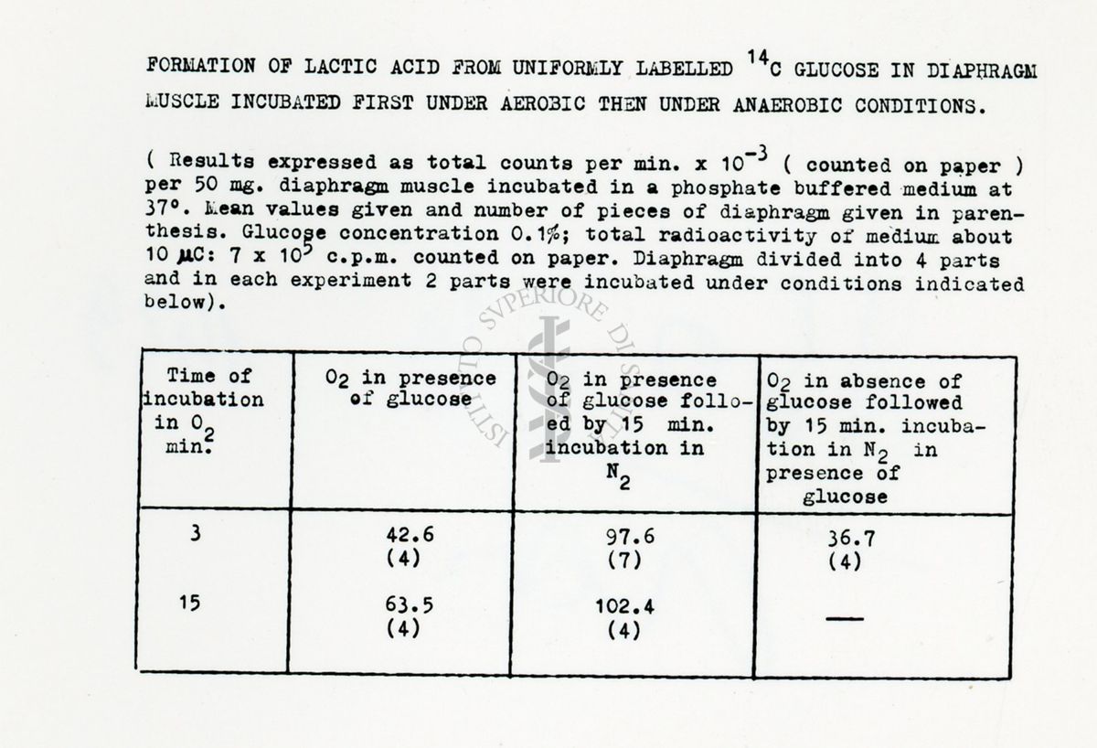 Metabolismo intermedio dei carboidrati