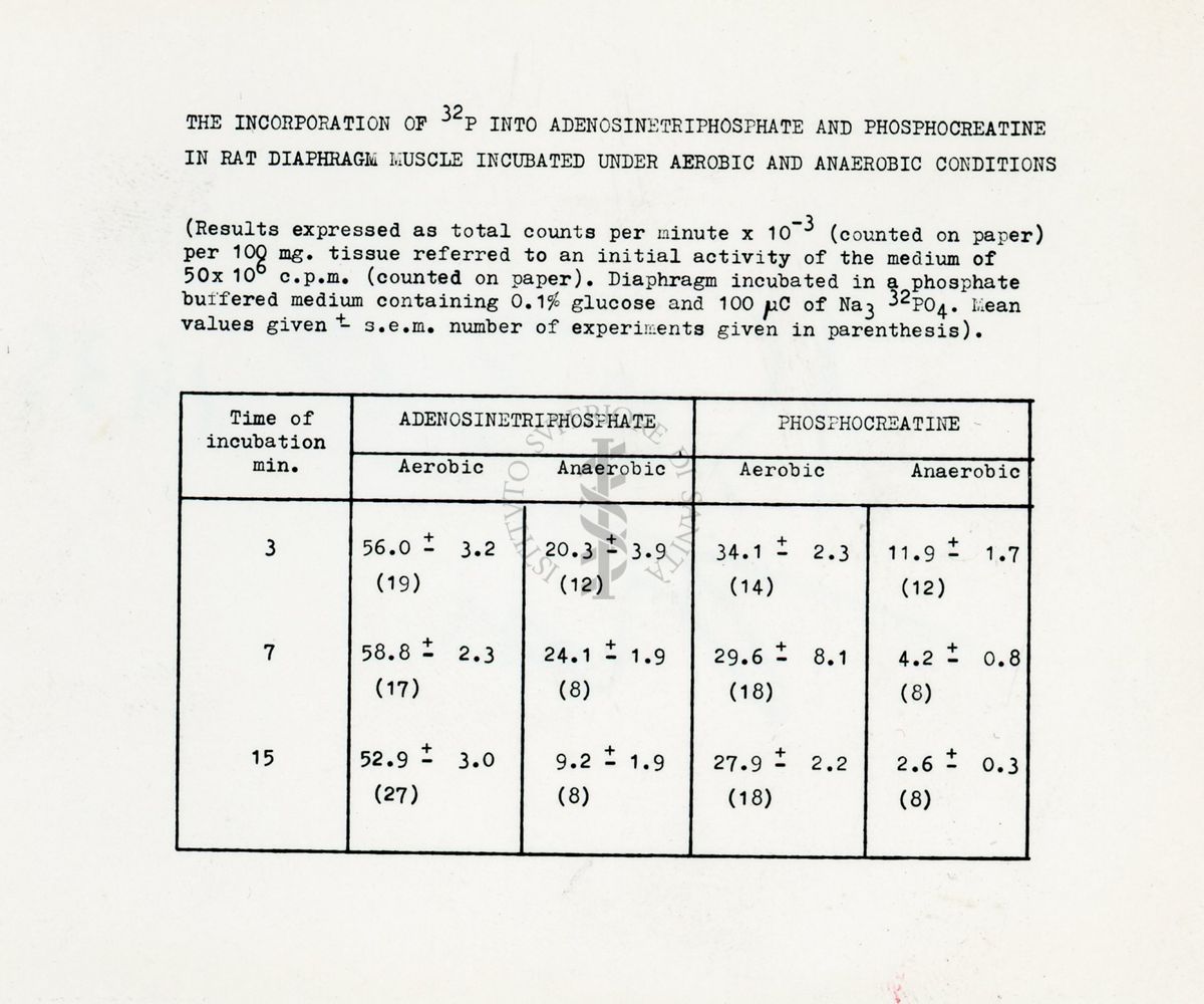 Metabolismo intermedio dei carboidrati