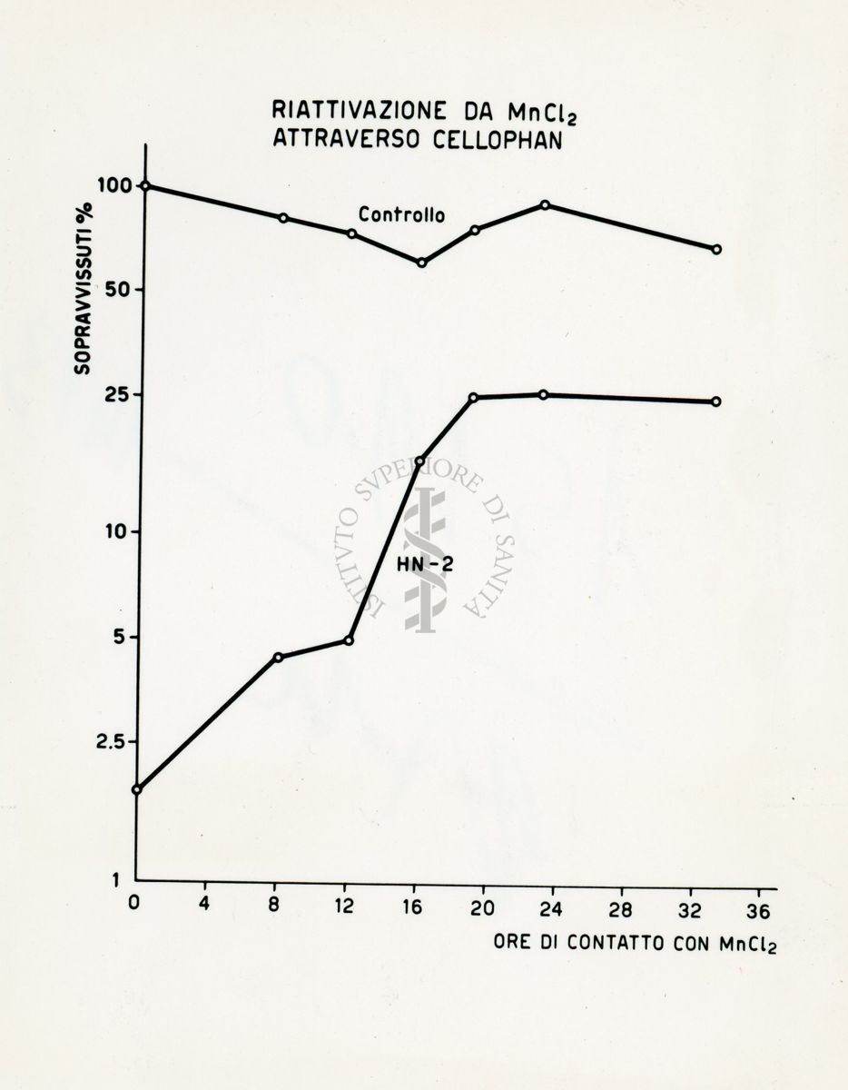 Riattivazione della MnCl2 in Penicillium