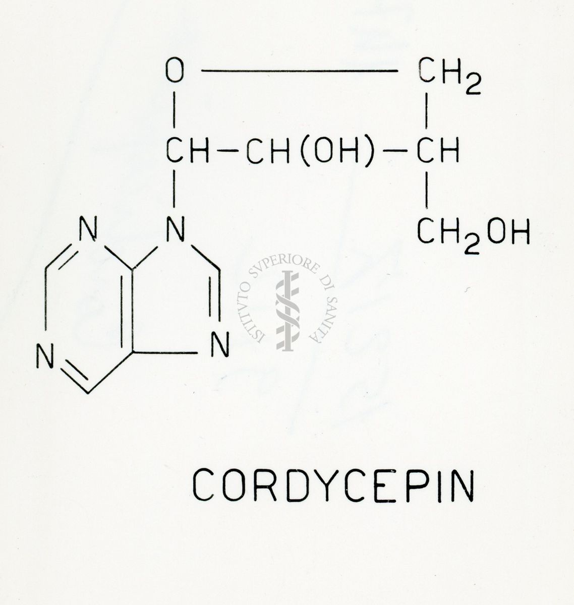 Sintesi della cordicepina