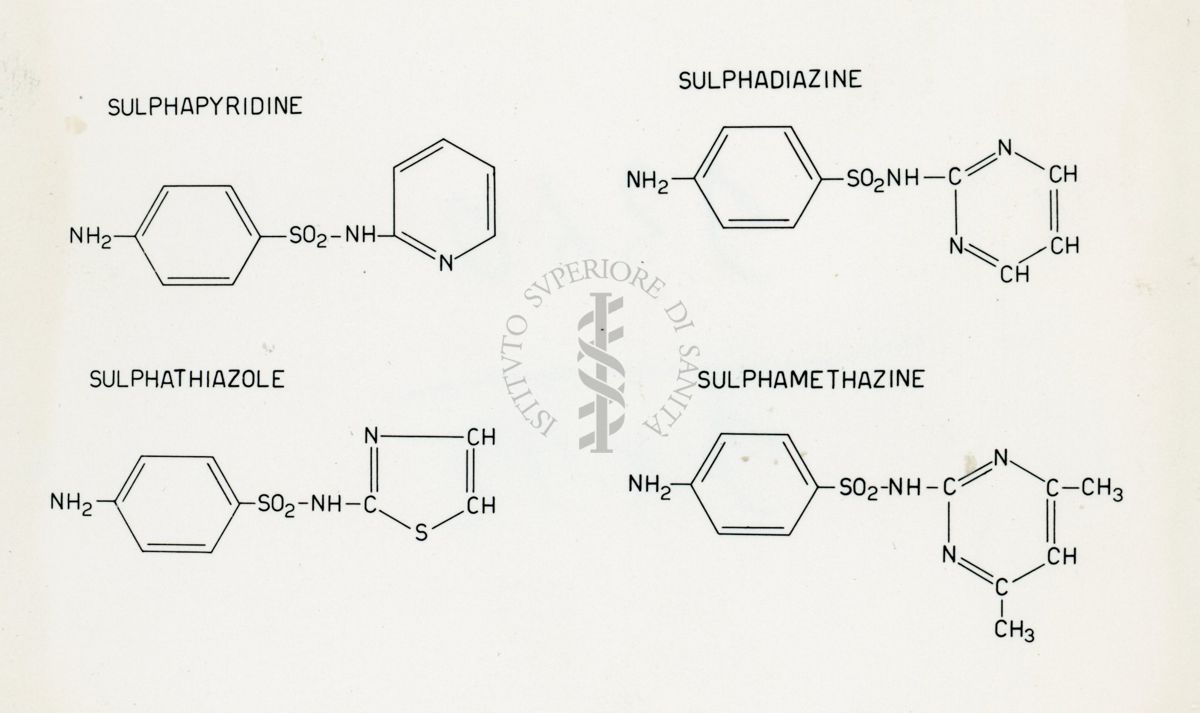 Riproduzione da disegno