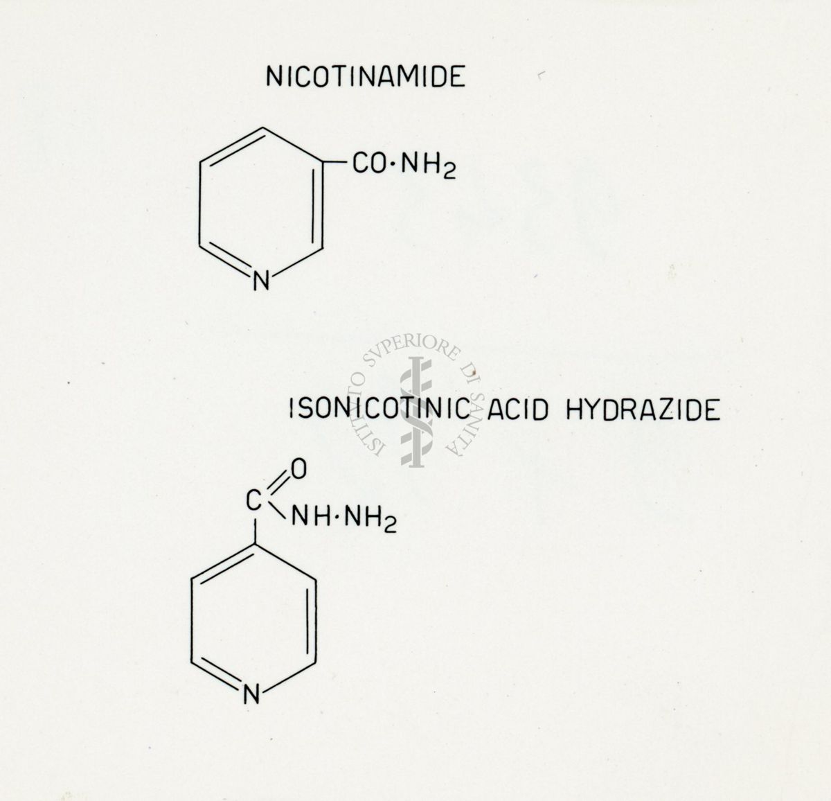 Riproduzione da disegno