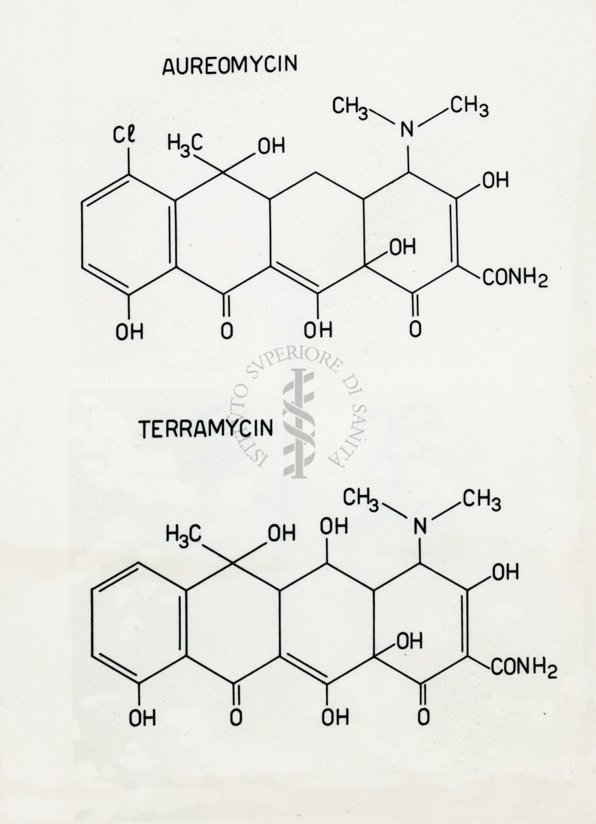 Riproduzione da disegno