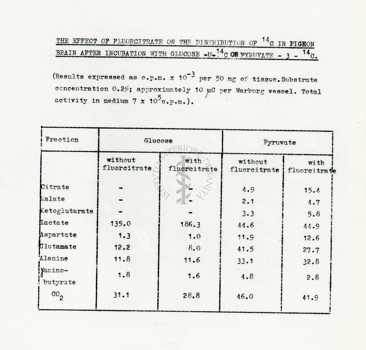 Metabolismo del glucosio 14 C o piruvato nel cervello di piccione