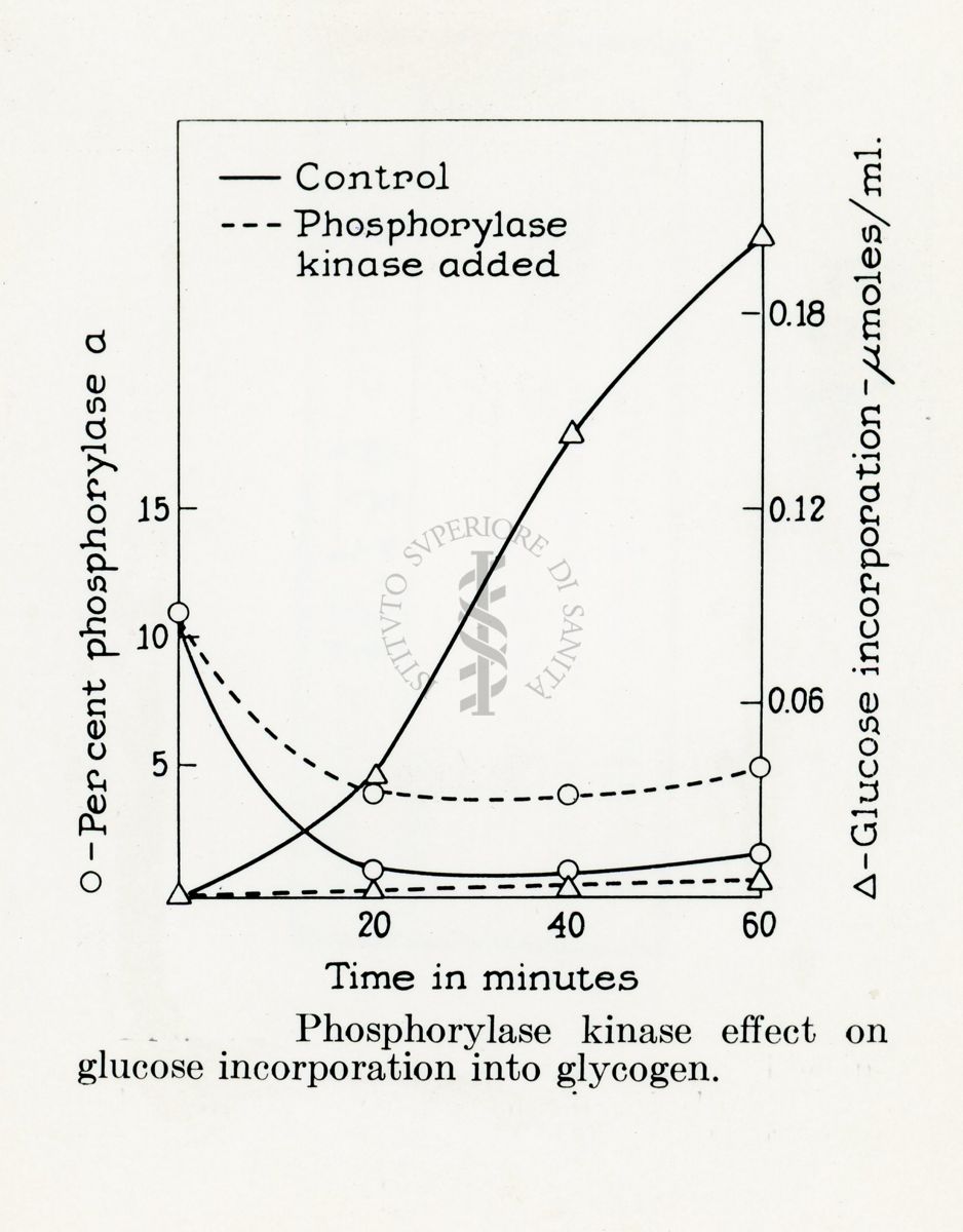 Diagramma