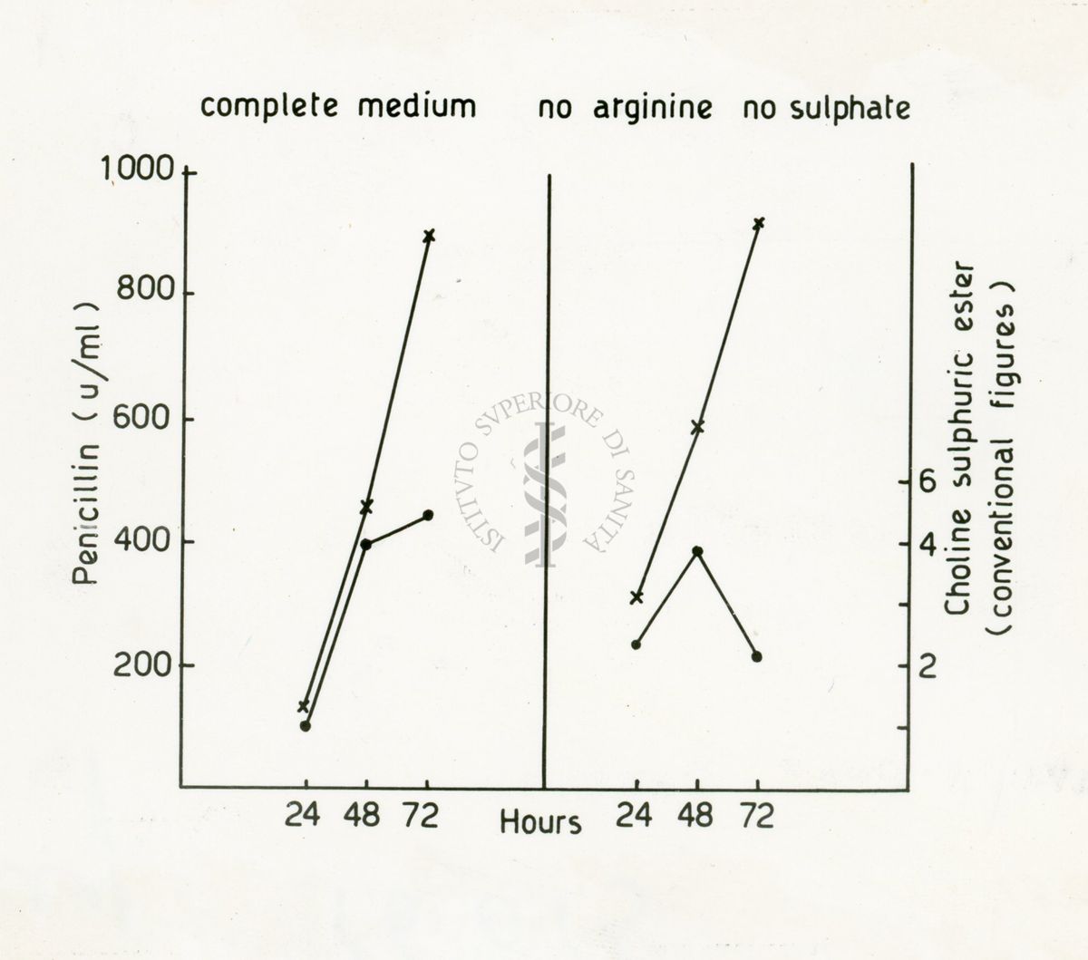 Distribuzione del solfato di Colina nei funghi