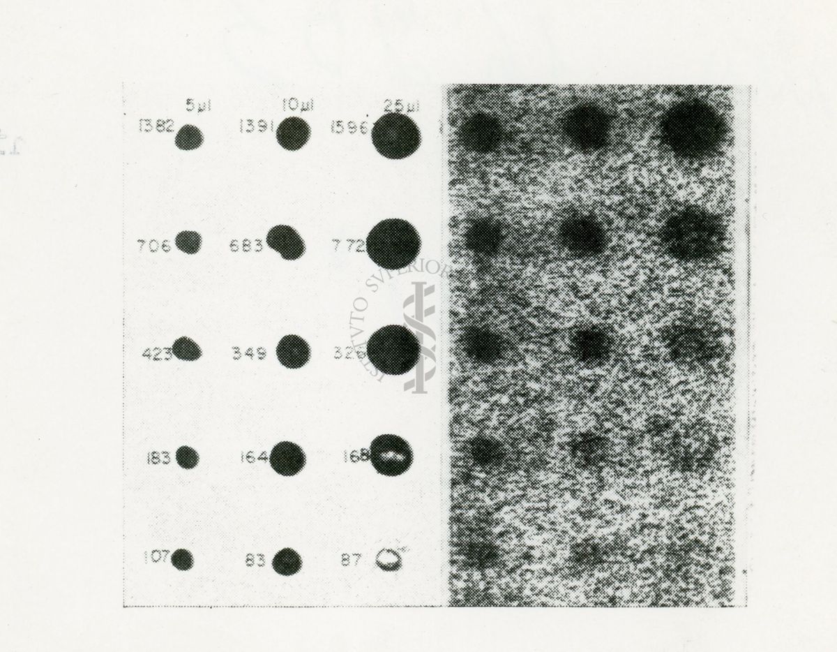 Radio-cromatografia quantitativa