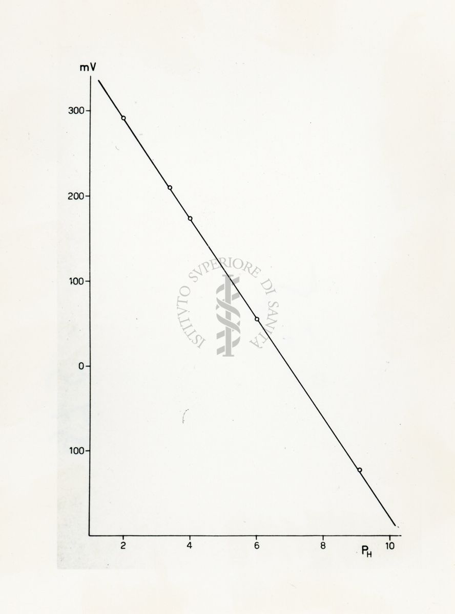 Grafico