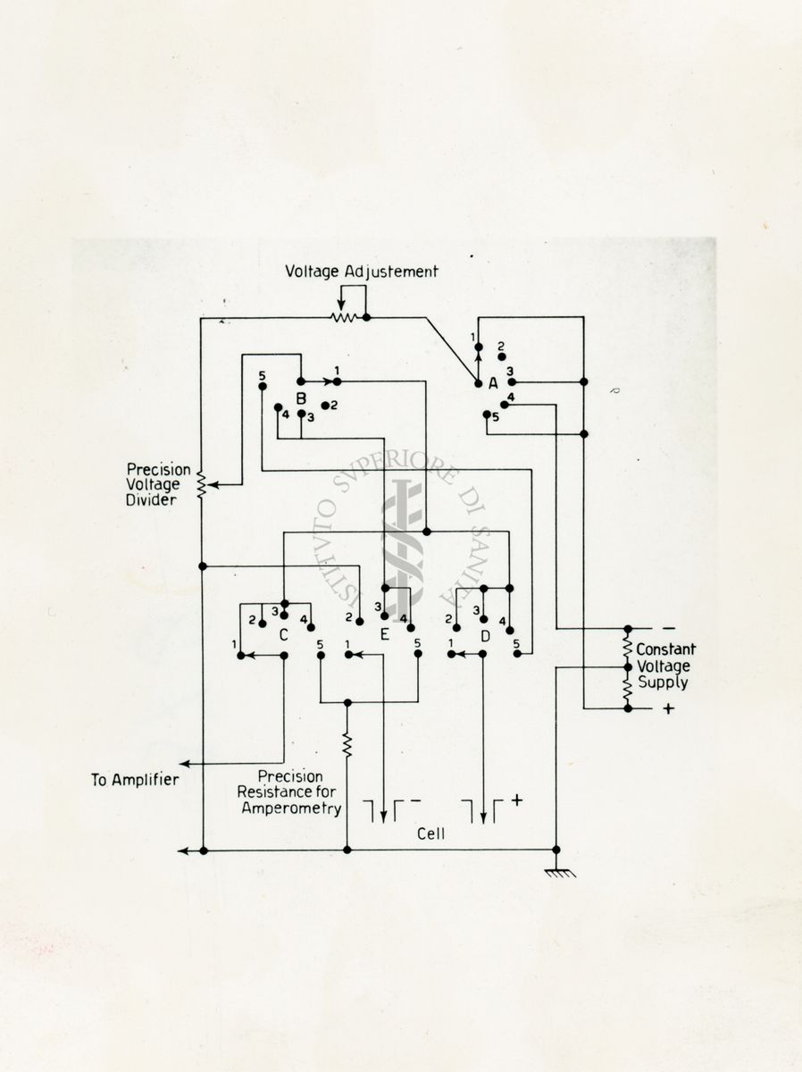 Disegno di un circuito