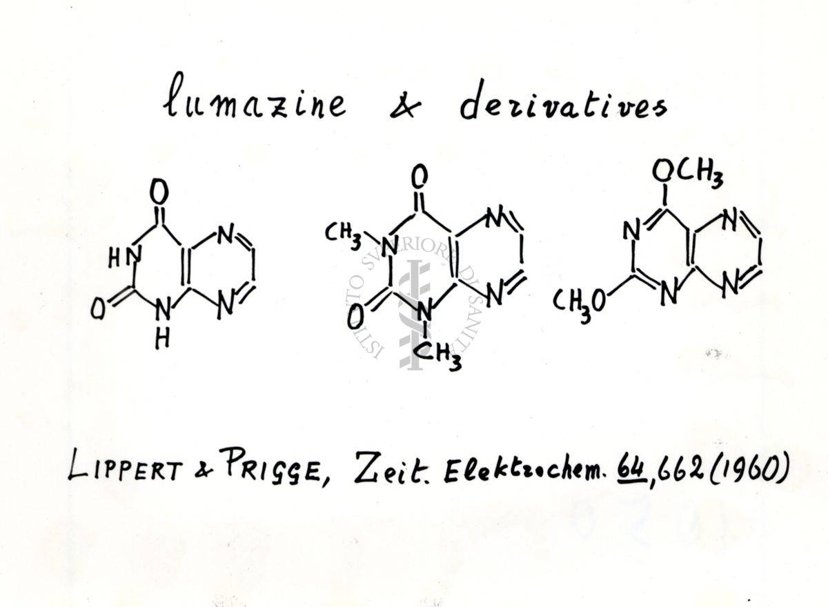 Formule di struttura dell'enzima lumazina e di suoi derivati (da una pubblicazione del 1960)