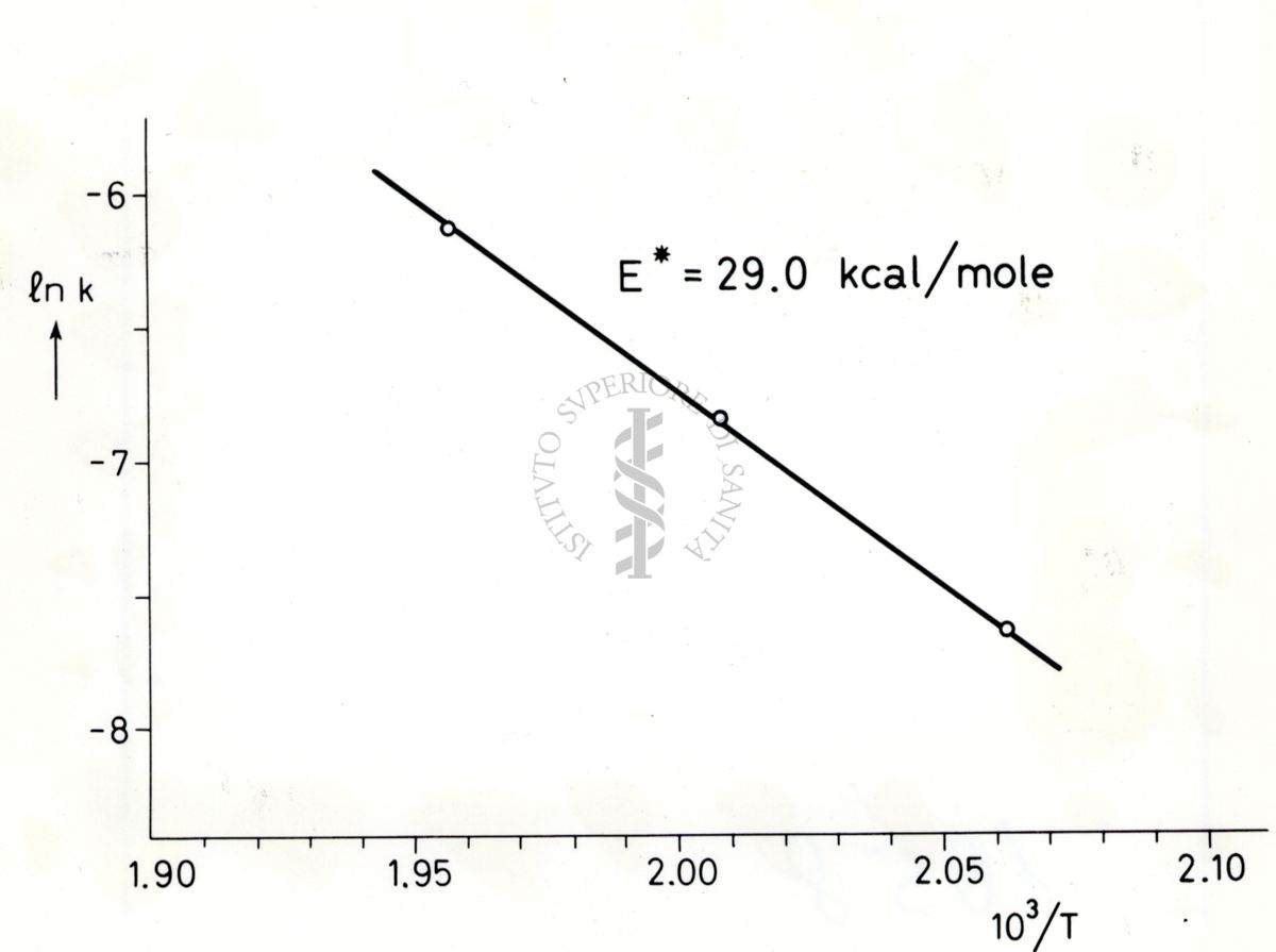 Grafico