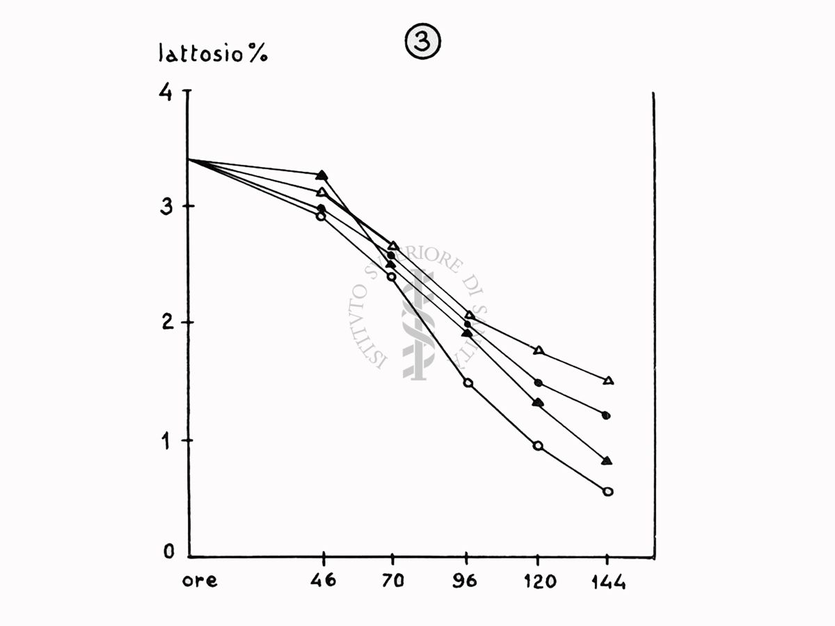 Nella foto grafico - Riproduzione da disegno