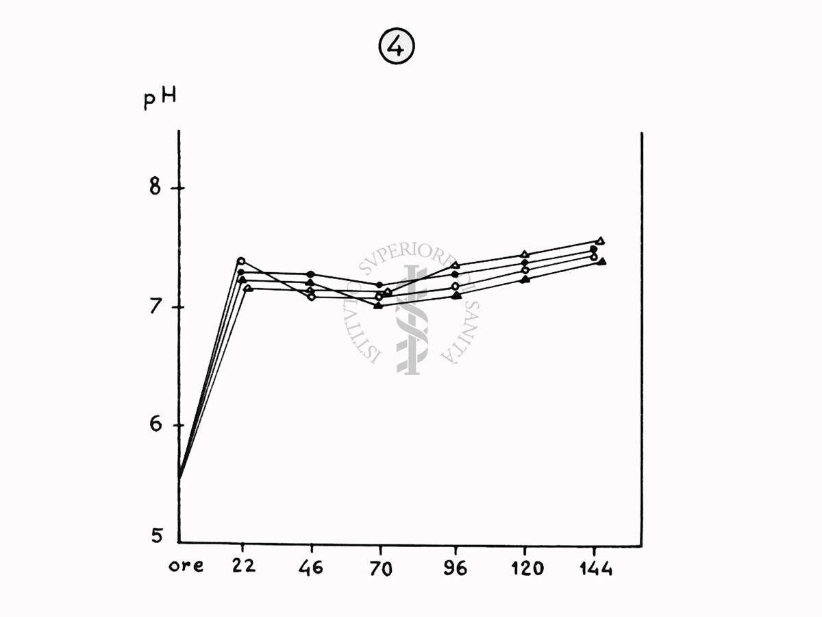 Nella foto grafico - Riproduzione da disegno