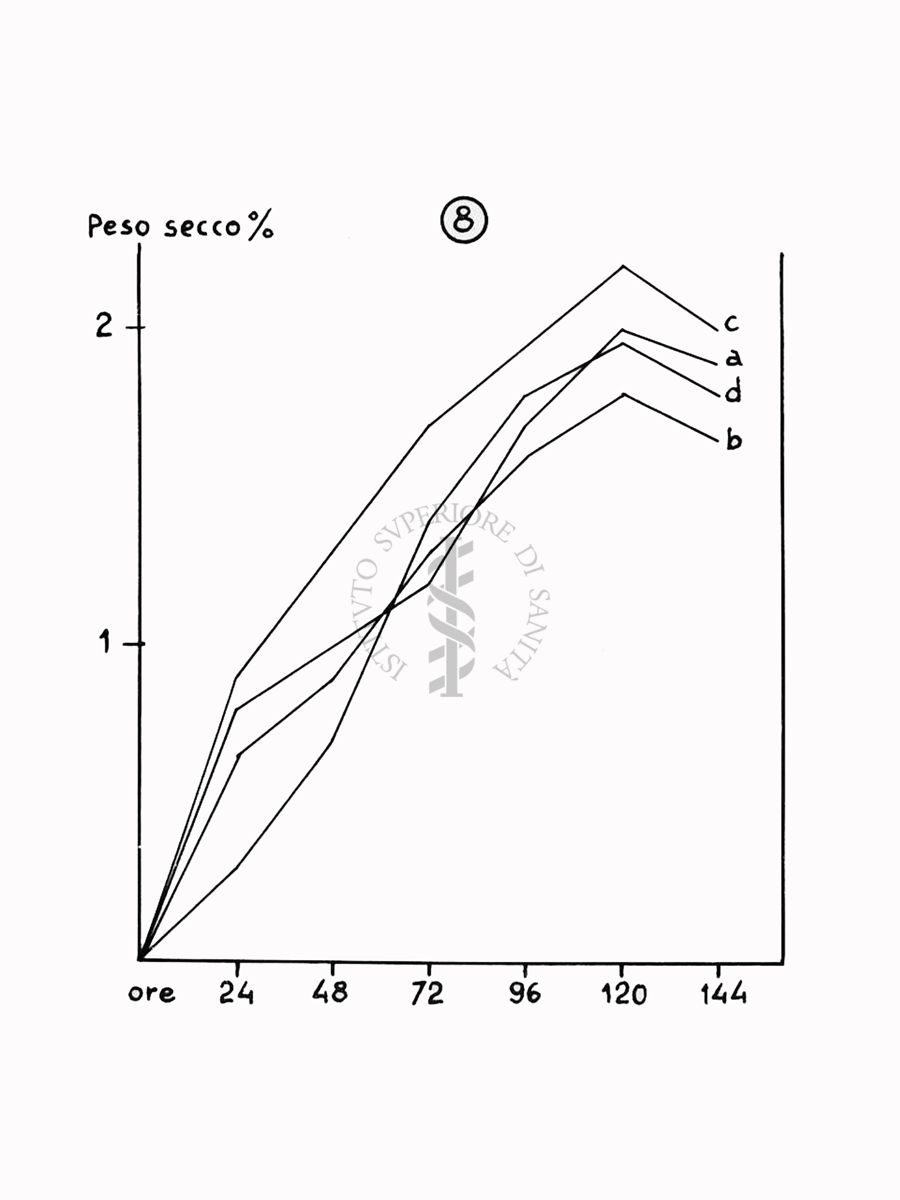 Nella foto grafico - Riproduzione da disegno