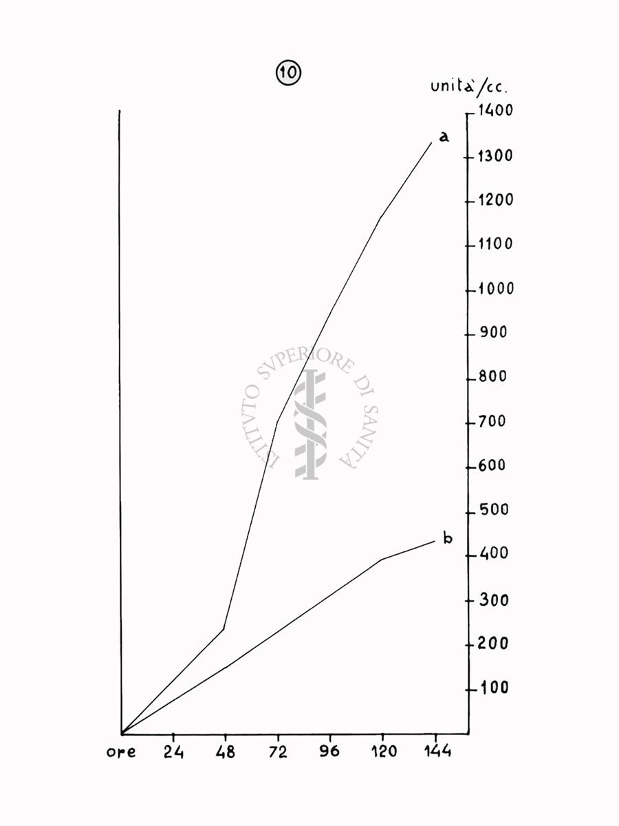 Nella foto grafico - Riproduzione da disegno