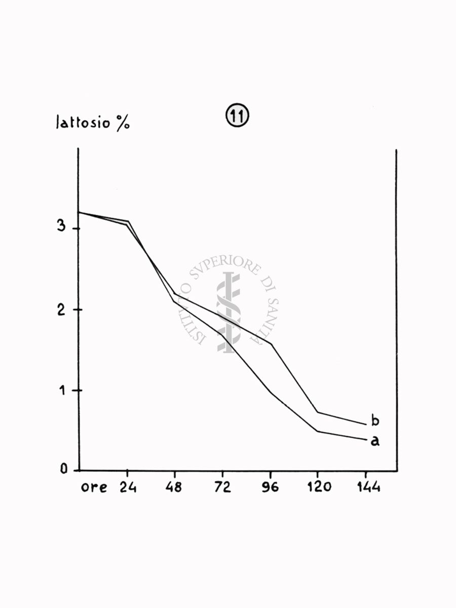 Nella foto grafico - Riproduzione da disegno