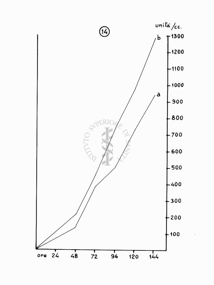 Nella foto grafico - Riproduzione da disegno