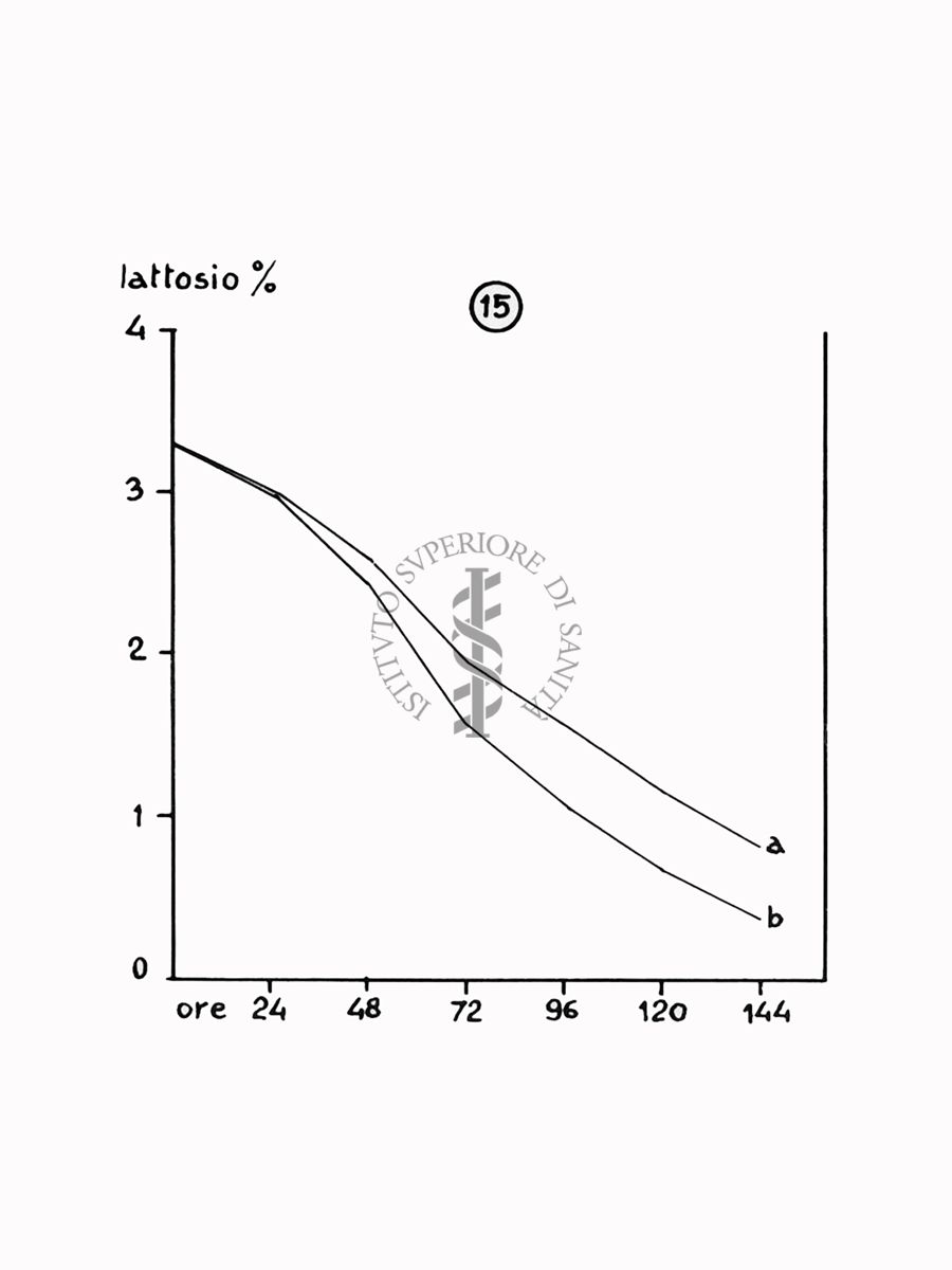 Nella foto grafico - Riproduzione da disegno