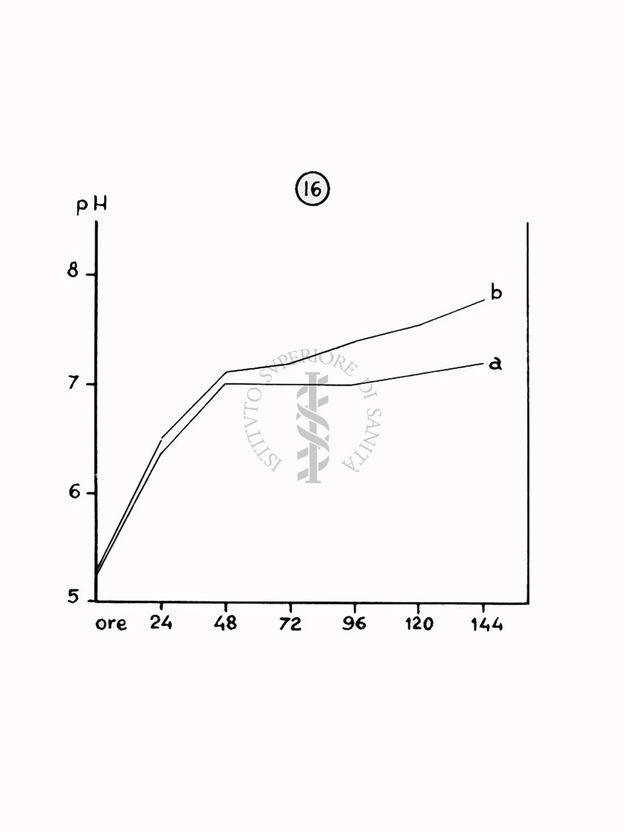 Nella foto grafico - Riproduzione da disegno