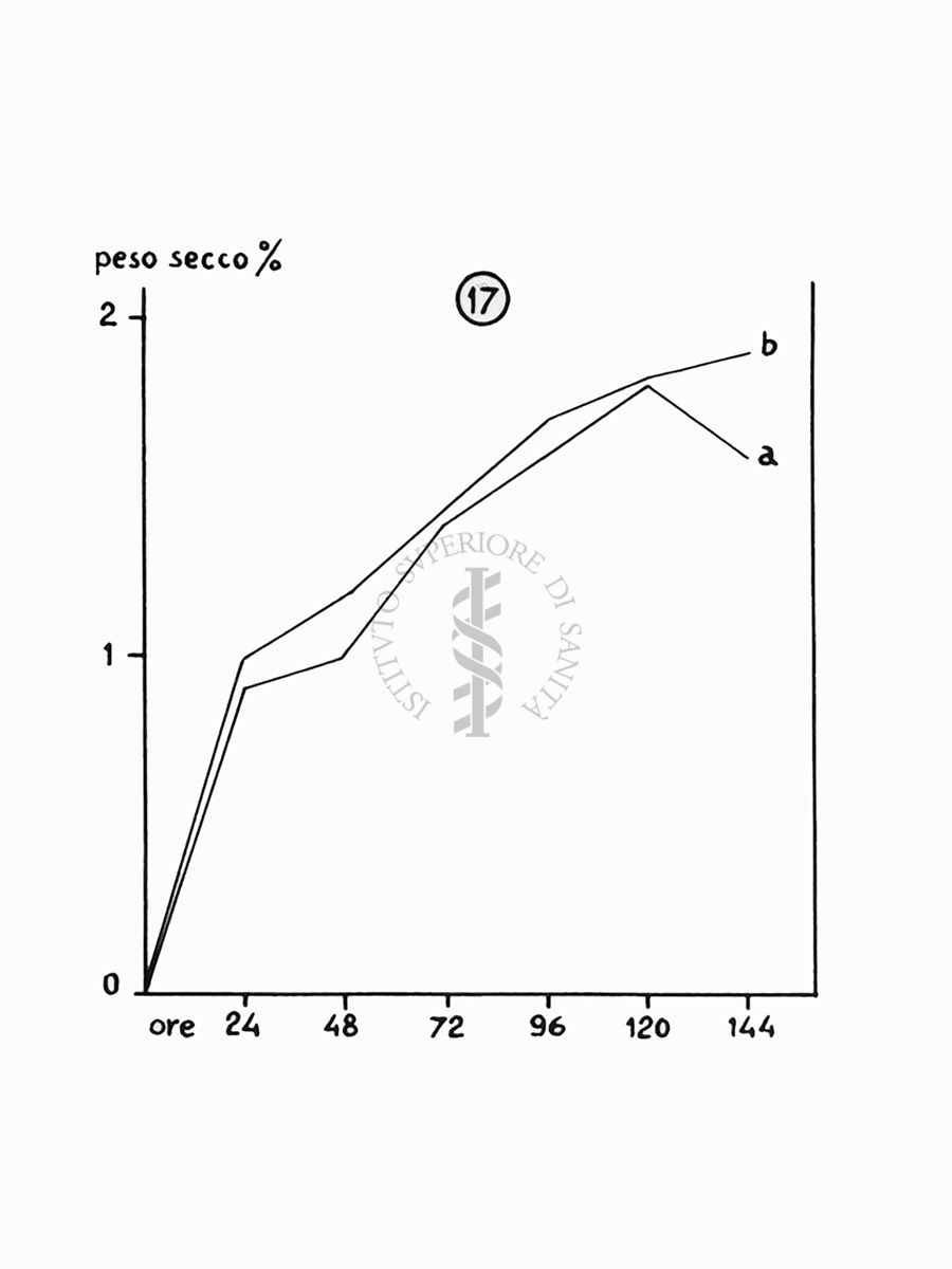 Nella foto grafico - Riproduzione da disegno