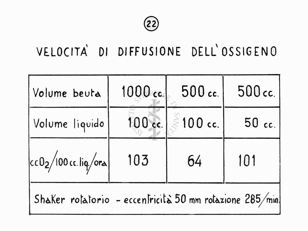 Nella foto grafico - Riproduzione da disegno