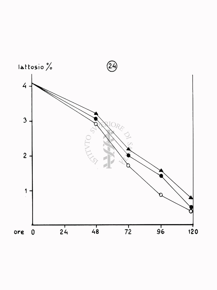 Nella foto grafico - Riproduzione da disegno