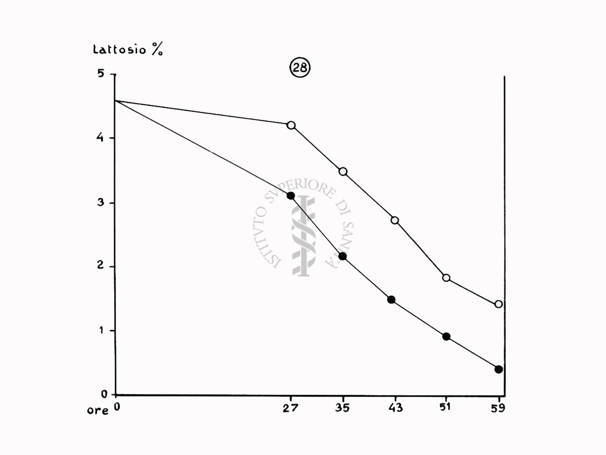 Nella foto grafico - Riproduzione da disegno