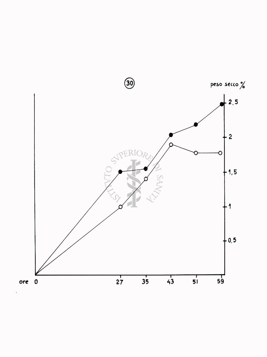 Nella foto grafico - Riproduzione da disegno