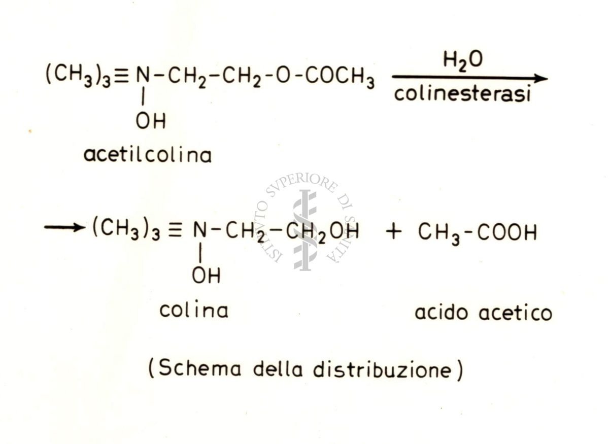 Senza titolo