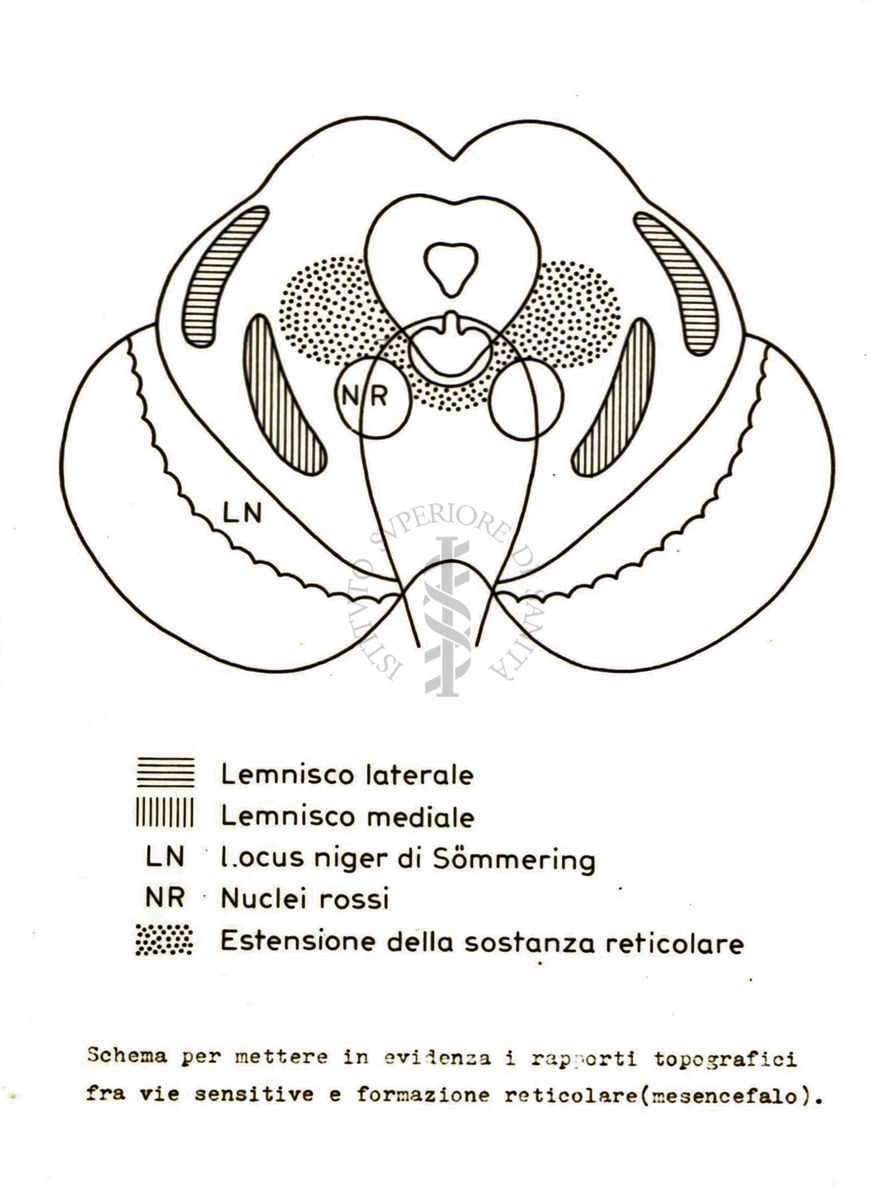 Senza titolo