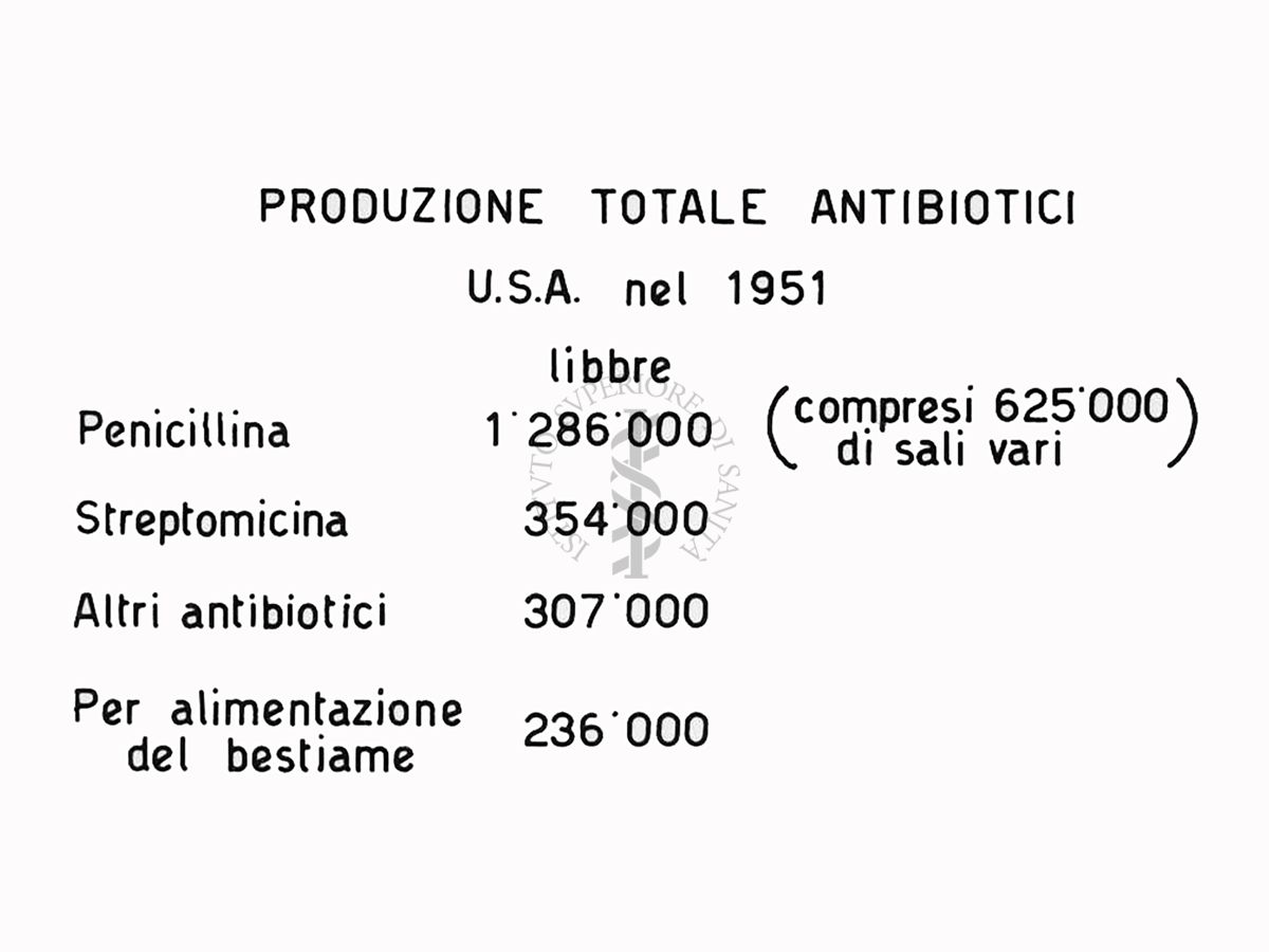 Produzione totale degli antibiotici esportati in U.S.A. nel 1951 - Riproduzione da disegno