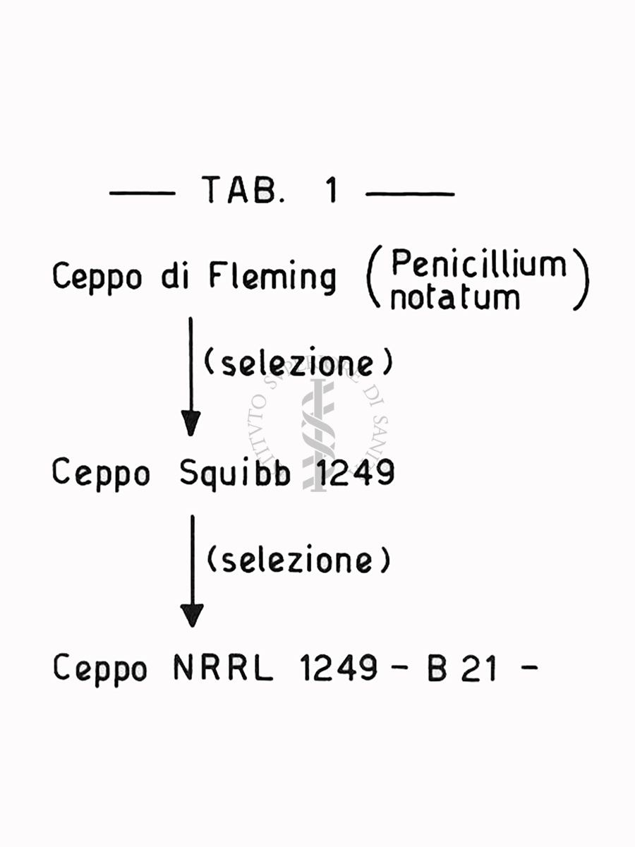 Fermentazioni  di Penicillina  TAB 1 - Riproduzione da disegno