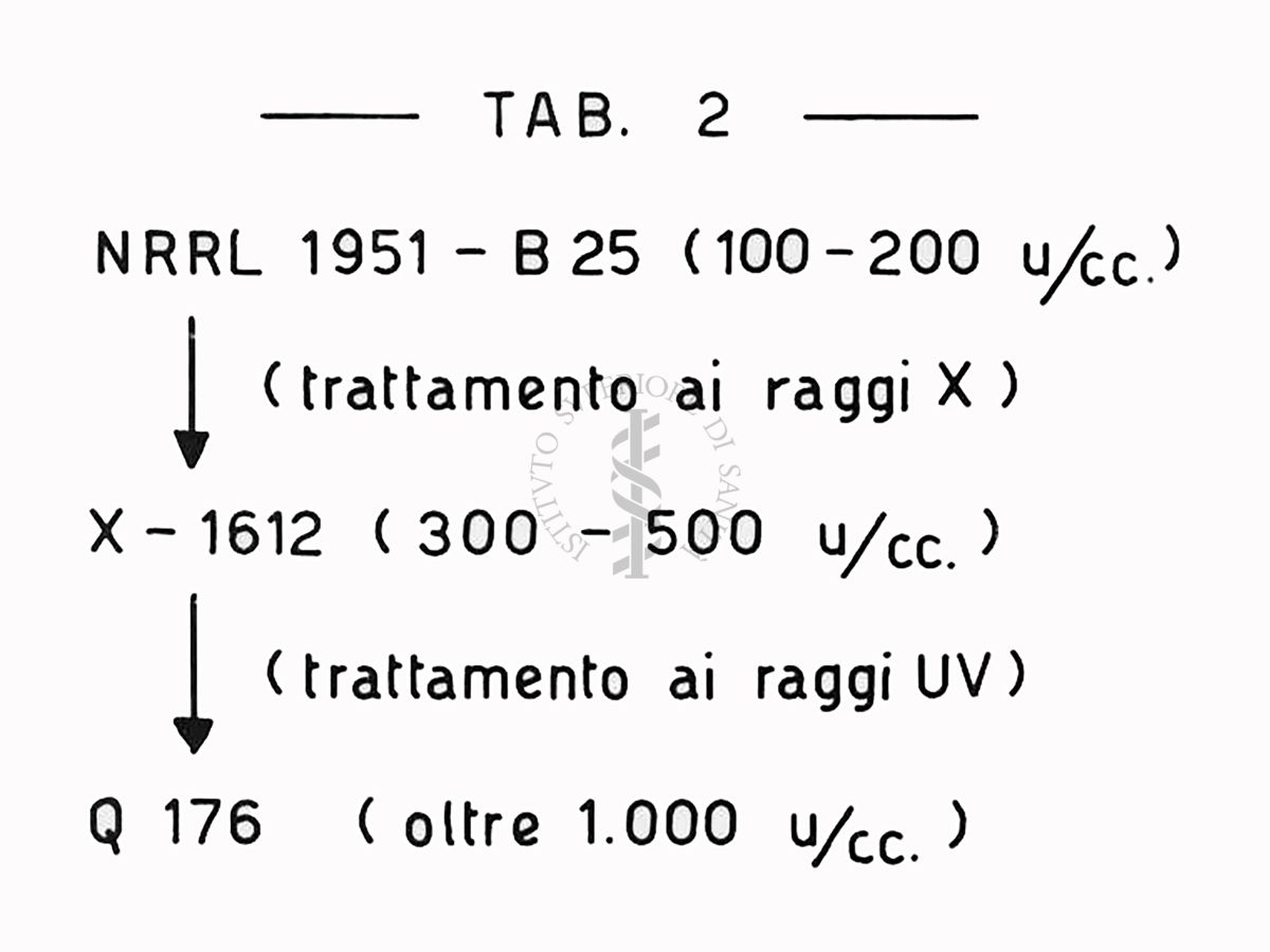 Fermentazioni  di Penicillina TAB 2 - Riproduzione da disegno