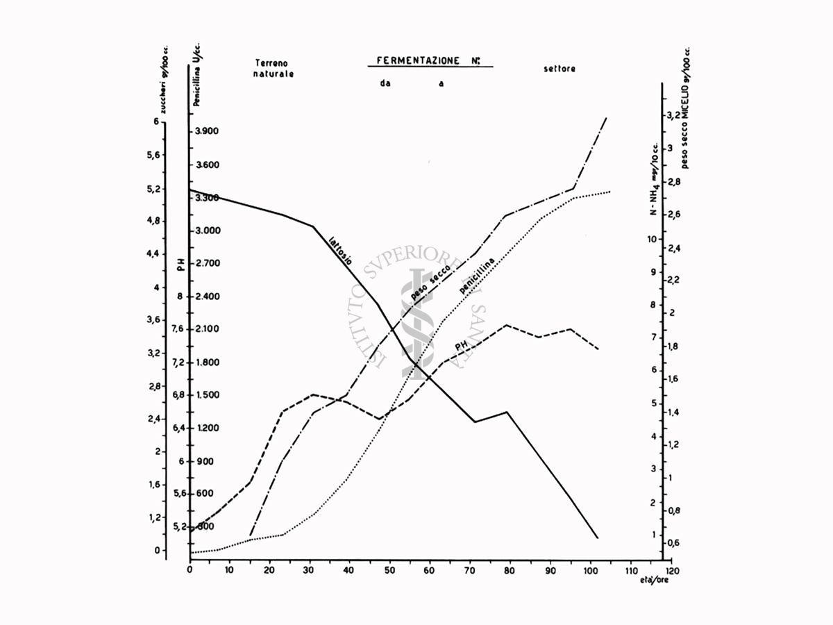 Fermentazioni  di Penicillina  Grafico - Riproduzione da disegno