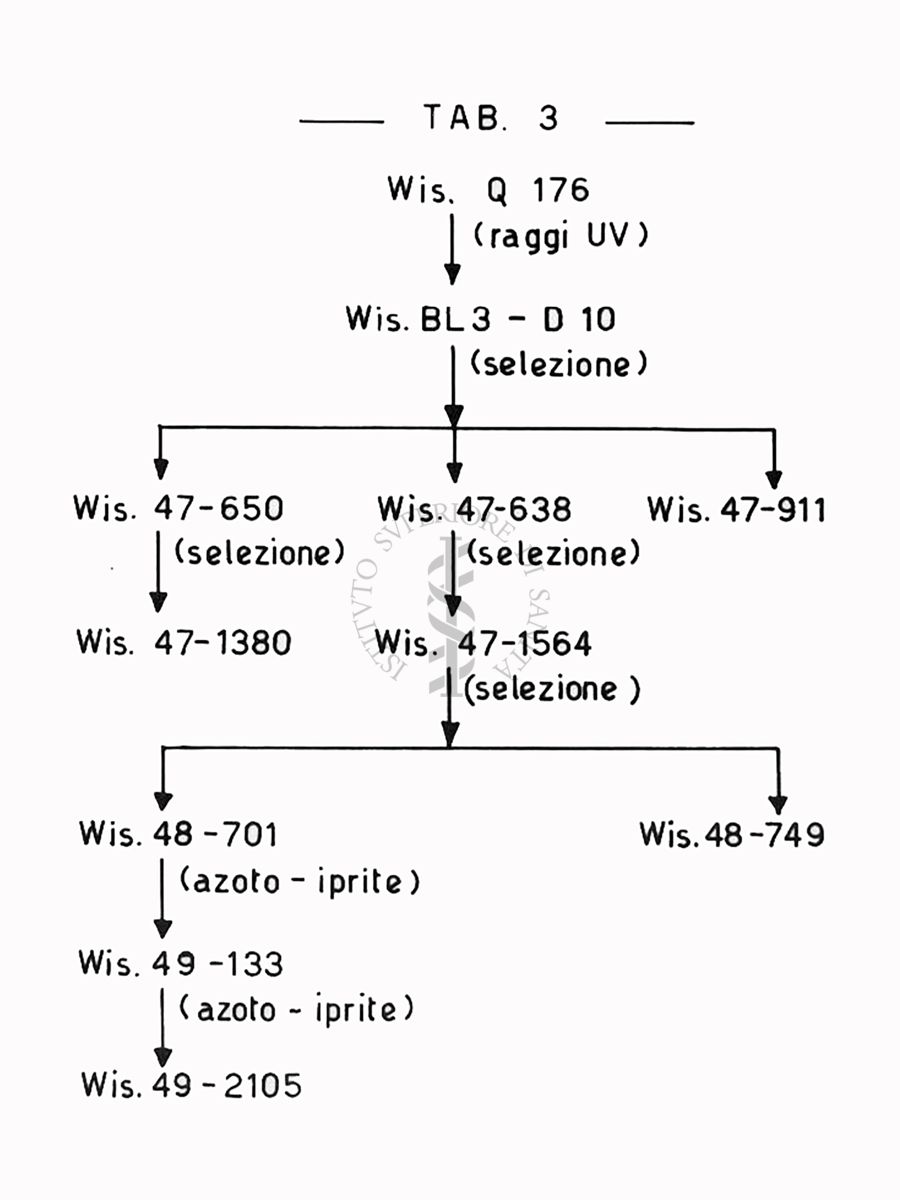 Fermentazioni  di Penicillina TAB 3  - Riproduzione da disegno