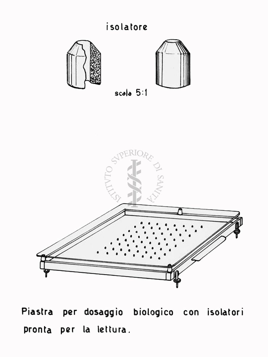 Fermentazioni  di Penicillina. Piastra per dosaggio biologico con isolatori pronta per la lettura - Riproduzione da disegno